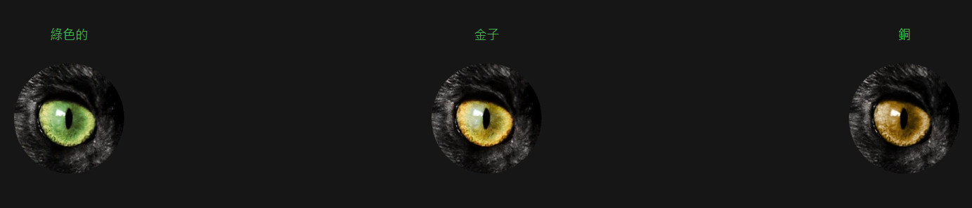 黑化孟加拉貓眼睛顏色